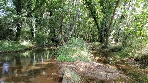 MOLINO DEL CORCHO